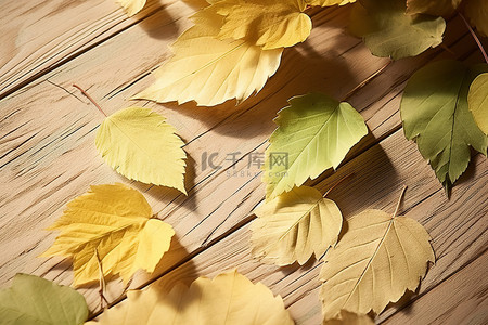 木桌上的秋叶