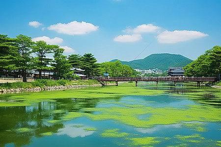 韩国旅游景点背景图片_韩国城北洞太极河