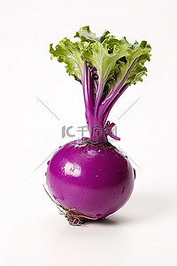 洋花萝卜背景图片_白色背景上的紫色萝卜