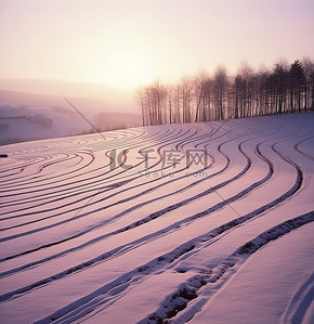 雪天阳光照耀在田野上