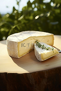 一块奶酪背景图片_橄榄树郊外的一块奶酪