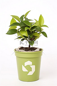 一个浅绿色的花盆，里面放着一株植物，上面写着“回收”