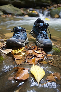 岩石和树叶上徒步旅行者的鞋子