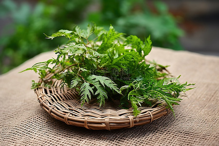 蔬菜农产品背景图片_藤碗上有蕨类植物