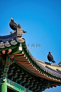 两只鸟栖息在寺庙的顶部