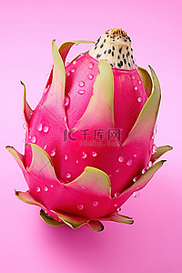 火龙果logo背景图片_粉红色的火龙果