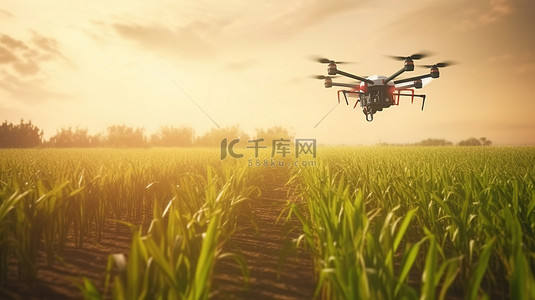 竞速无人机背景图片_甘蔗农场农业无人机喷施肥料的 3D 插图渲染