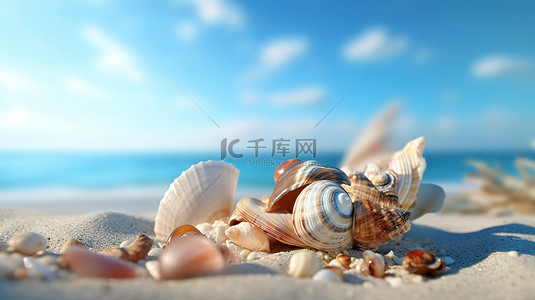 各种贝壳品种散布在沙滩海岸线上，背景 3D 渲染中带有海洋色调