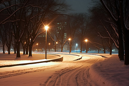 冬季夜晚背景图片_夜间公园 峨山公园 冬季公园 冬季城市公园