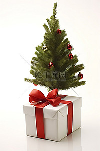 礼品盒里的小圣诞树