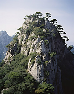 一座被树木覆盖的巨大落基山的山顶