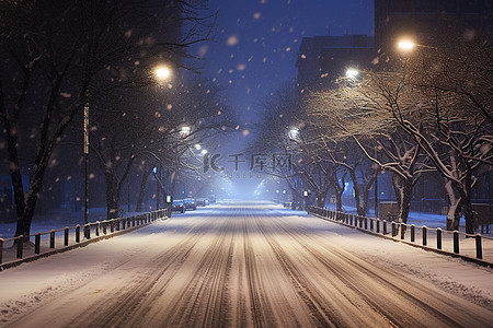 雪落背景图片_晚上雪落在雪路上