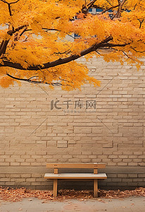 坐在树枝背景图片_在韩国和中国，一张长凳坐在墙边，上面有树枝和树叶