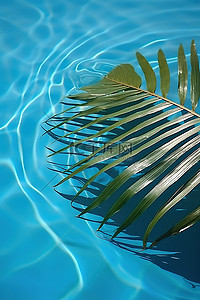 水影相机背景图片_一片棕榈叶漂浮在泳池的水面上