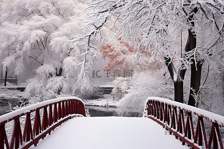 冬天柿子背景图片_一座白色的桥，周围环绕着白雪覆盖的树木