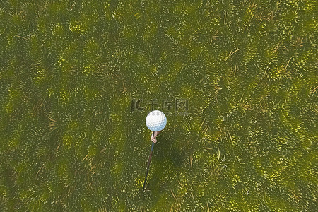 草地上的高尔夫球，旁边是一个打高尔夫球的人