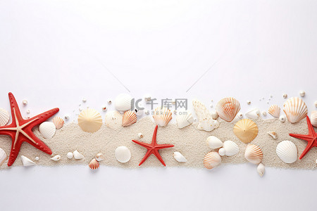夏天的海边背景图片_海边有贝壳和海星的白色背景