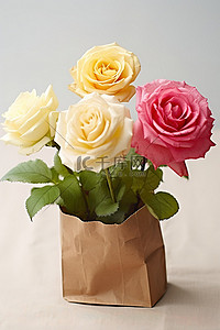 三色花背景图片_三朵玫瑰坐在棕色纸袋里