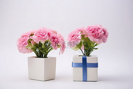 两个小盒子，上面有粉色和蓝色的花朵