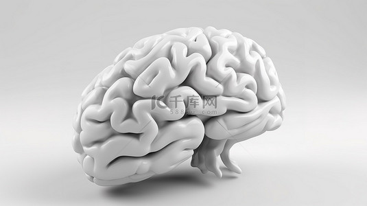 在纯白色背景上呈现的 3D 白色大脑