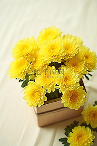 菊花背景图片_盒子里的黄色菊花