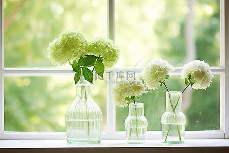 老师窗前背景图片_窗前三个装满水的绿色花瓶