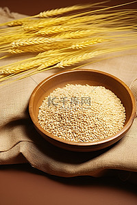 围裙上碗里的金黄色小麦和麦穗