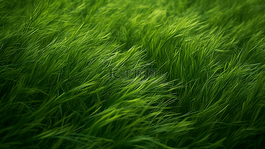 大自然叶子背景图片_草地草坪绿色背景