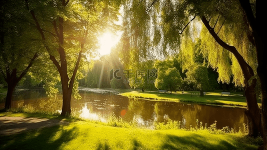 公园池塘阳光背景