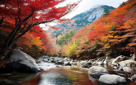 这个山景包含红色的树木和水