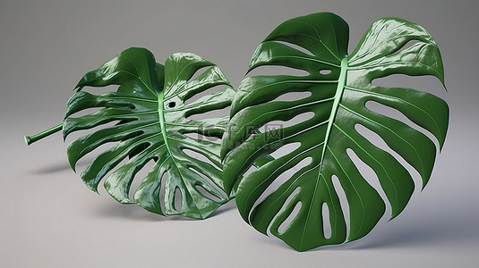竹叶纹背景图片_令人惊叹的 3D 渲染中的龟背竹叶