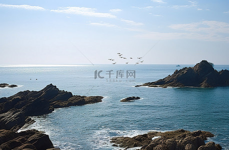 海上的岩石背景图片_阳光明媚的日子里，岩石海岸上有一些海鸥飞过