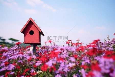 邮箱签名背景图片_紫色花朵山顶上的红色鸟舍