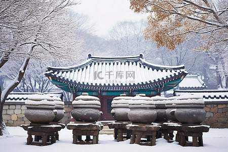 有雪覆盖的树的旧式韩国寺庙