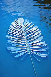水影相机背景图片_棕榈叶与蓝色的水