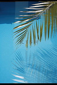 棕榈叶在蓝色水池表面的倒影，阳光照耀着它