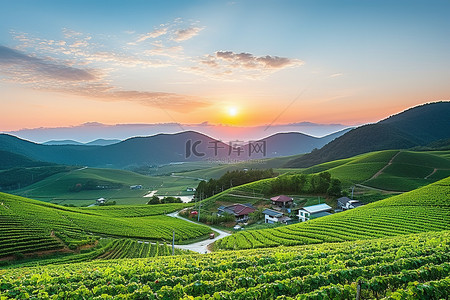 日落时的韩国农业农场