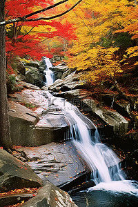 色彩缤纷的瀑布流过红色和黄色的树叶
