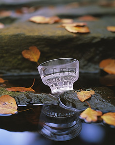 一个杯子放在水景上，周围有树叶