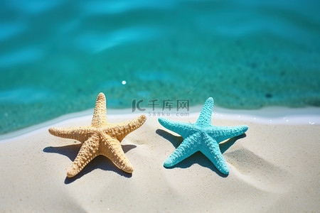 两只海星背景图片_两只海星坐在游泳池附近的沙子上