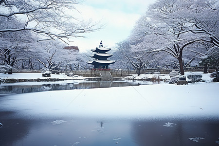 池塘和雪在树下 韩国 韩国 韩国 照片来自 flickr