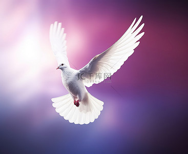 和平的白鸽背景图片_紫色背景中飞翔的白鸽，翅膀为蓝色和白色