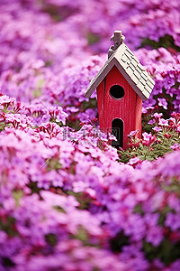 紫色花坛上矗立着一座小鸟舍