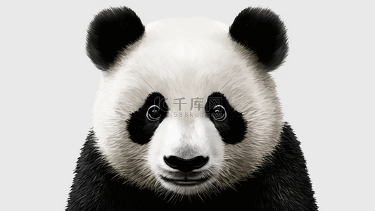 可爱动物卡通边框背景图片_大熊猫团团圆圆背景