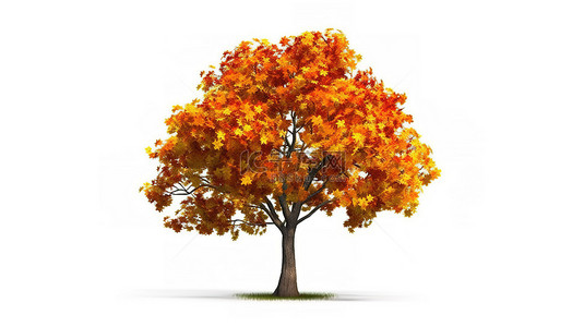 白色背景上有叶子的孤立秋树的 3d 插图