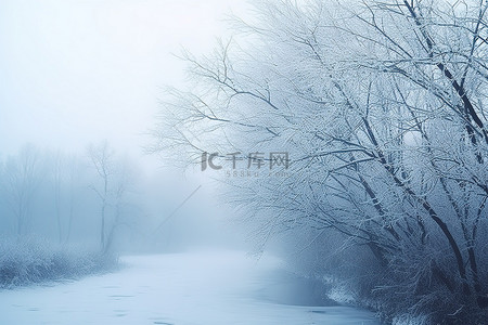 雪中森林背景图片_雪中​​的雾森林
