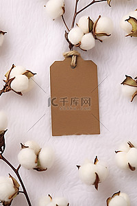 棉花花枝上的白色标签