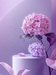粉色绣球花紫色电商场景图片