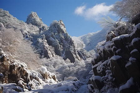 冬天的山景