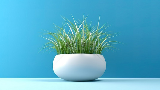 陶瓷花盆背景背景图片_白色陶瓷花盆在蓝色背景 3D 渲染下保持茂密的草